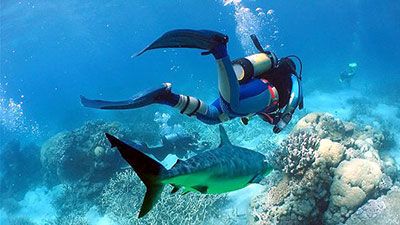 Scuba diving maldives