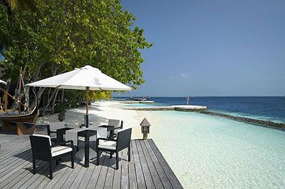 Lilly Resort Spa Maldives